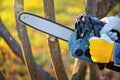 A gardener pruns trees with a lightweight cordless chain saw. Work in the autumn garden Royalty Free Stock Photo