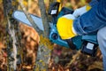 A gardener pruns trees with a lightweight cordless chain saw. Work in the autumn garden Royalty Free Stock Photo