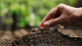 Gardener putting seed in the ground against green plants. A woman farmer hand plants pea seeds in a soil mound Royalty Free Stock Photo