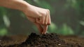 Gardener putting seeds in the ground. Man farmer hands planting sowing seed in soil preparation for spring season