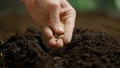 Gardener putting seeds in the ground. Man farmer hands planting sowing seed in soil preparation for spring season Royalty Free Stock Photo