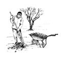 Gardener rakes fallen leaves with a rake and puts in a wheelbarrow, tree without leaves behind, hand drawn doodle, sketch
