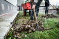 Gardener raking fall leaves in garden Royalty Free Stock Photo