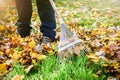 Gardener raking fall leaves in garden