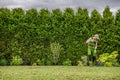 Gardener Raking Freshly Mowed Grass From Backyard Garden Lawn