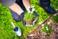 Gardener Replanting Flowers Royalty Free Stock Photo