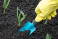 A gardeners gloved