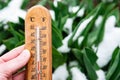 Gardener's hand holding thermometer showing three degrees against background of melting snow, green plants in early spring. Royalty Free Stock Photo