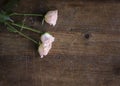Gentle blush pink miniature rosebuds on pine table background