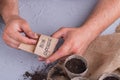 Gardener`s taking asparagus bean to seed it in a pot.