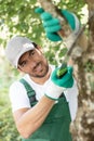 gardener with saw cutting branch from overgrown tree