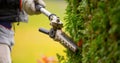 Gardener services. Hedge cutting. The blade of a gasoline trimmer trims a thuja bush close-up. Royalty Free Stock Photo