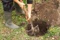 Autumn land preparation for planting of plants