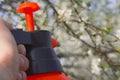 Gardener with spraying a blooming fruit tree against plant diseases and pests. Use hand sprayer with pesticides in the Royalty Free Stock Photo