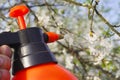 Gardener with spraying a blooming fruit tree against plant diseases and pests. Use hand sprayer with pesticides in the Royalty Free Stock Photo