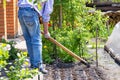 The gardener spuds the beds in the garden with a metal chopper in the courtyard of the spring garden