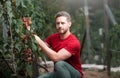 Gardener on summer grapes harvest. Farmer cut grapevine. Vinedresser cutting grapes bunch. male vineyard owner. Farmer Royalty Free Stock Photo