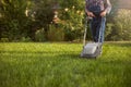 Gardener taking care of his lawn using a grass cutter Royalty Free Stock Photo