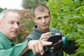 gardener teaching how to cut hedges to young worker Royalty Free Stock Photo
