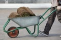 The gardener is transporting a roll of grass in the wheelbarrow for lawn landscaping Royalty Free Stock Photo