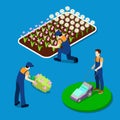 Gardener Trimming Plants. Isometric People