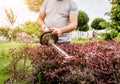 A gardener trimming shrub with hedge trimmer Royalty Free Stock Photo