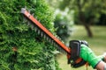 Gardener trimming thuja shrub by electric hedge trimmer Royalty Free Stock Photo
