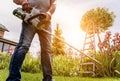 A gardener trimming trees with hedge trimmer