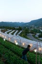 Gardener turns on the lights in flowers and vegetable greenhouse