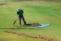 Worker sweeps dry bamboo leafs in the garden.