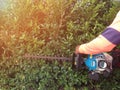 Gardener use equipment for trim wall tree. Gardening and cutting activities.