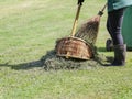 Gardener use natural broom and dust pan to sweep grass leaves after lawn trimming in green park