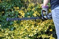 A Gardener Using A Hedge Trimmer Royalty Free Stock Photo