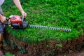 Gardener using an hedge trimmer in the garden Royalty Free Stock Photo