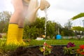 Gardener with watering can is irrigating her lawn