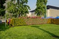 Gardener watering flower terrace in sunny city