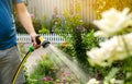 A gardener with a watering hose and a sprayer water the flowers in the garden on a summer sunny day. Sprinkler hose for irrigation Royalty Free Stock Photo