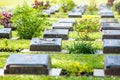 Gardener watering ornamental plants in rows of the gravestones on Memorial Day Royalty Free Stock Photo