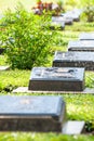 Gardener watering ornamental plants in rows of the gravestones on Memorial Day Royalty Free Stock Photo