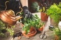 Gardener watering plants with a metal can