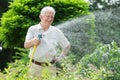 Gardener watering the plants