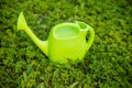 Green plastic watering can isolated on green grass.A gardener waters the plants from a watering can. Watering plants Royalty Free Stock Photo