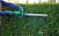 A gardener wearing safety gloves leveling a shrub fence with a cordless hedge trimmer