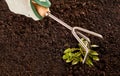 Gardener weeding a flowerbed