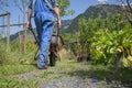 Gardener with a wheel barrow working in the garden Royalty Free Stock Photo