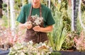 Gardener woman creating grave decoration