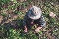 Gardener woman harvesting parsley in the garden