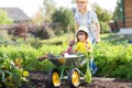 Gardener woman pushing wheelbarrow with kid