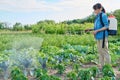 Gardener woman with spray backpack spraying blue cabbage plants in garden Royalty Free Stock Photo