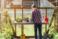 Gardener women planting plants on a sunny day in a greenhouse. Relaxing work at home Royalty Free Stock Photo